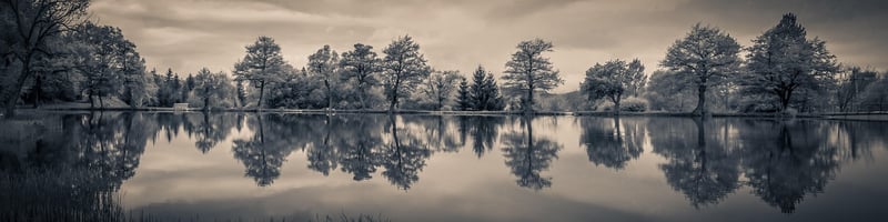 Lakeside Moonscapes
